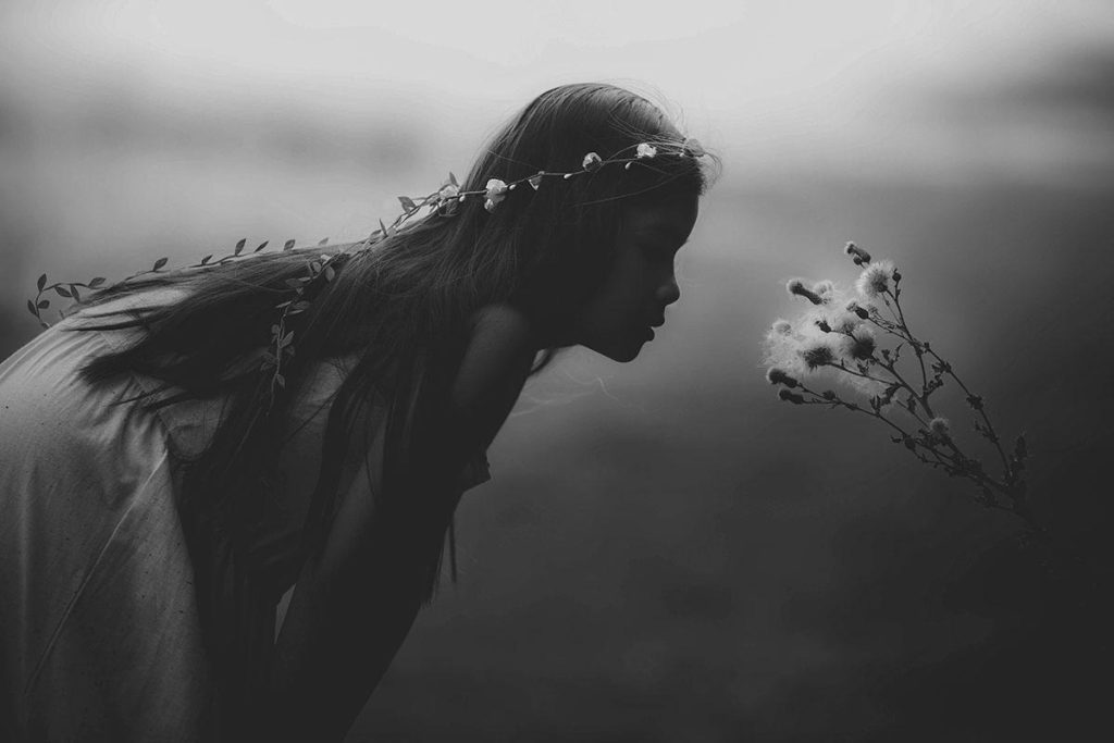 sarah mak 54250 unsplash Image & Gallery Block